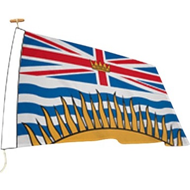 Image Canada Provinces and Territories Flags
